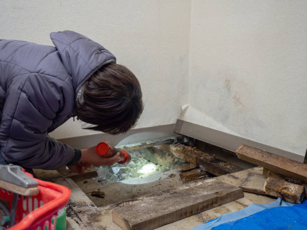 Best Dehumidification Services  in Apalachicola, FL