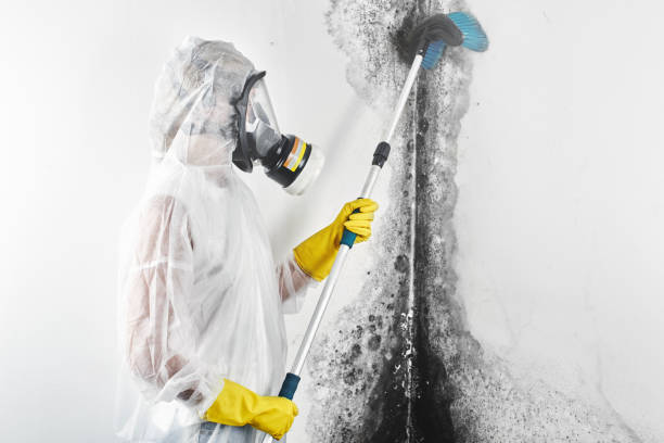 Best Commercial Mold Inspection  in Apalachicola, FL