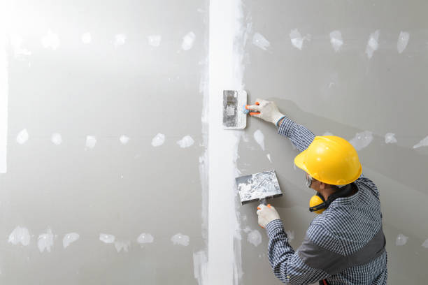 Best Post-Construction Mold Inspection  in Apalachicola, FL