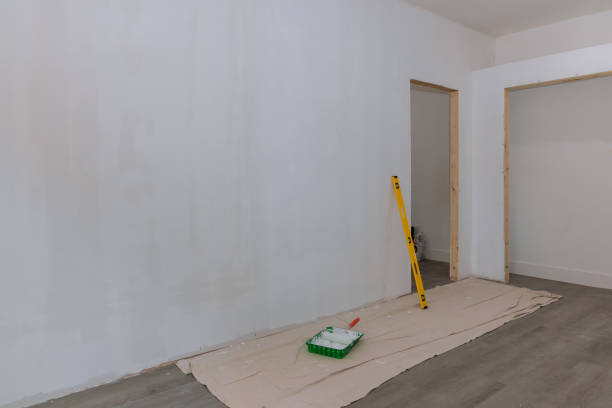 Best Mold Odor Removal Services  in Apalachicola, FL