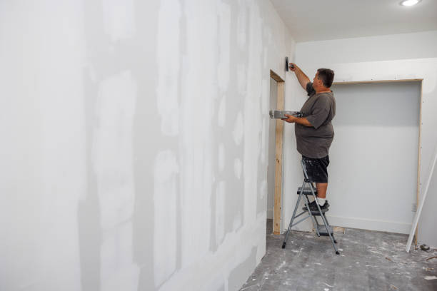Best Crawl Space Mold Remediation  in Apalachicola, FL