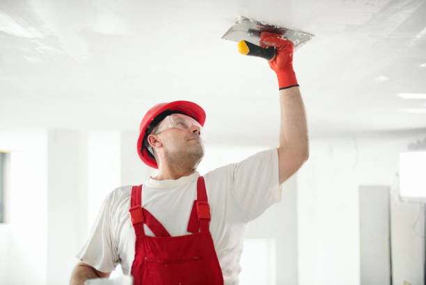 Best Airborne Mold Testing  in Apalachicola, FL