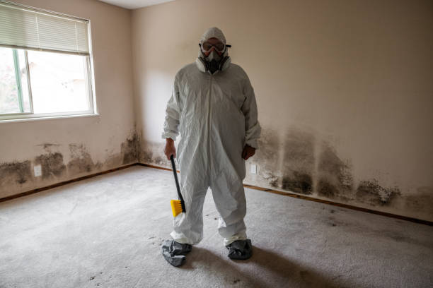 Best HVAC Mold Inspection and Cleaning  in Apalachicola, FL