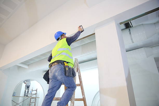 Best Mold Damage Restoration  in Apalachicola, FL
