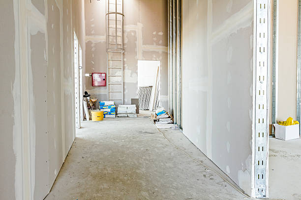 Best Basement Mold Removal  in Apalachicola, FL
